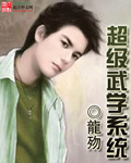 超级武学系统封面