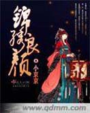 锦绣良颜封面