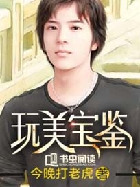 玩美宝鉴封面