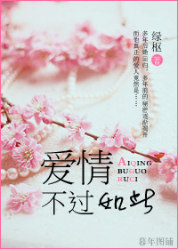 爱情,不过如此封面