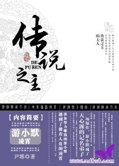传说之主的夫人封面