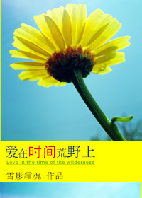 爱在时间荒野上封面