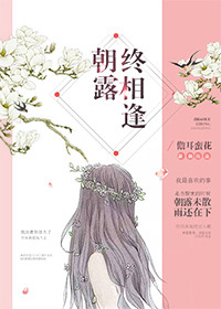 朝露终相逢封面