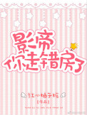 影帝,你走错房了封面