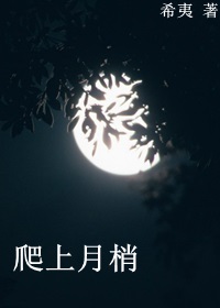 爬上月梢