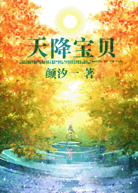 天降宝贝封面