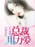 日久成瘾:总裁,用力爱封面