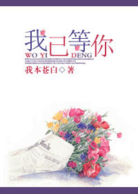 我已等你封面
