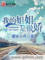 我的姐姐是傲娇封面