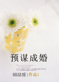 预谋成婚封面