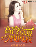情定kitty,高冷总裁拽拽拽封面
