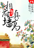 相府墙真高封面